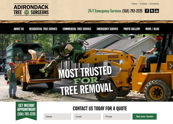 Adirondack Tree Surgeons