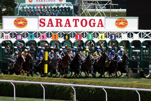 Horses exiting the starting gate at the Saratoga Race Course