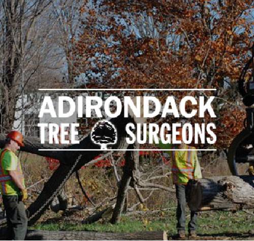 Adirondack Tree Surgeons logo with a tree being taken down in the background.