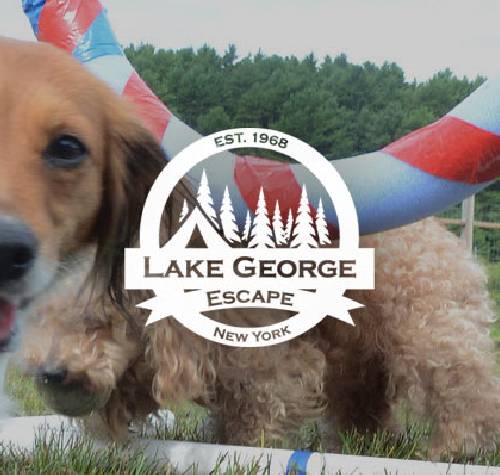 Lake George Escape logo with a dog doing an obstacle course in the background.