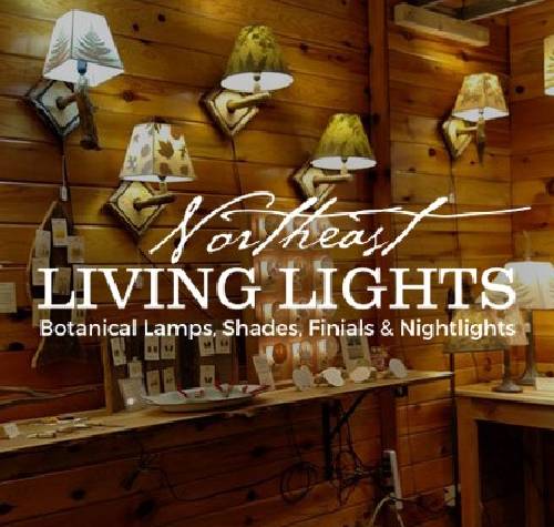 Northeast Living Lights logo with their lamps in the background.