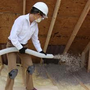 environmentally friendly attic insulation