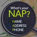 Whats Your NAP Graphic