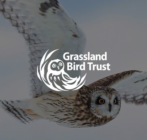 Grassland Bird Trust logo