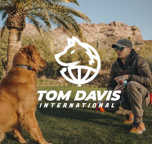 Tom Davis International logo